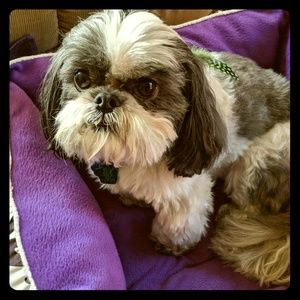 Meet your Posher, Kimberly